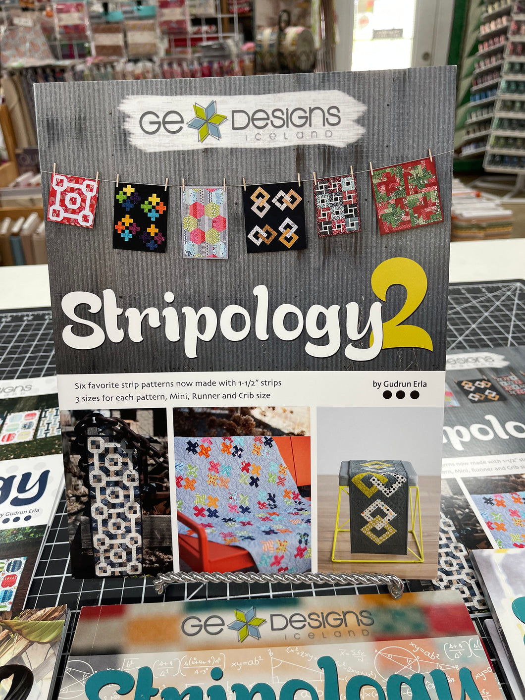 GE Designs Stripology 2  Book by Gudrun Eria