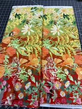 Robin Pickens - Wild Blossoms by Moda  48730-11