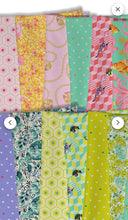 Free Spirit Fat Quarter Bundle Tula Pink Besties 22 FQ's.
