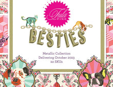 Free Spirit Fat Quarter Bundle Tula Pink Besties 22 FQ's.