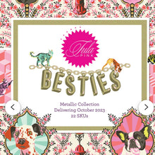 Free Spirit Fat Quarter Bundle Tula Pink Besties 22 FQ's.