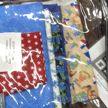 A-OK Star Pattern, Texas & Bluebonnets 55 X 70. kit includes fabric, binding, & pattern.