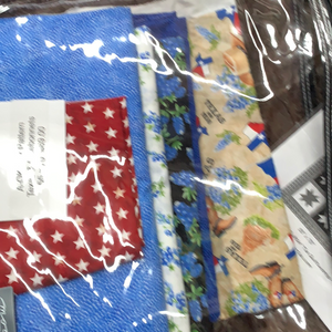 A-OK Star Pattern, Texas & Bluebonnets 55 X 70. kit includes fabric, binding, & pattern.