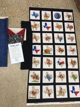 Best of Texas Panel Kit - Star Lite Pattern, size 42 X 52.