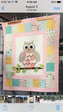 Home Sweet Home Owl kit 38 X 40.  Kit includes fabric, bining, & Book.