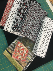 Take 5 Pattern / Kit includes Black & White prints 5 one yard cuts, binding, border, and pattern.