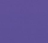 Bella Solid 9900 165 Amelia Purple   (Moda bella solid)