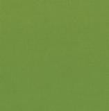 Bella Solid 9900 192  Leaf   (Moda bella solid)