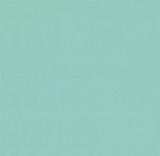 Bella Solid 9900 65 Green  (Moda bella solid)