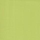 Bella Solid 9900 134 Pistachio   (Moda bella solid)